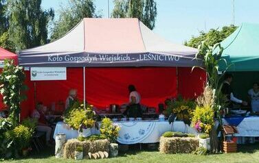 Dożynki Gminno- Parafialne 2025 81