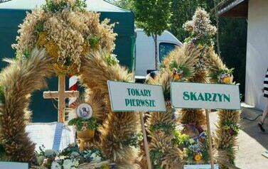 Dożynki Gminno- Parafialne 2025 133