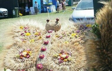 Dożynki Gminno- Parafialne 2025 135