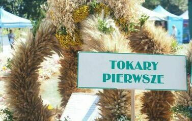 Dożynki Gminno- Parafialne 2025 136