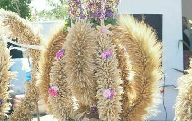 Dożynki Gminno- Parafialne 2025 139