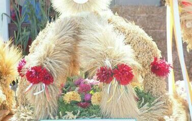 Dożynki Gminno- Parafialne 2025 141