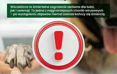 Zdjęcie do Wścieklizna - śmiertelne zagrożenie dla ludzi i zwierząt.