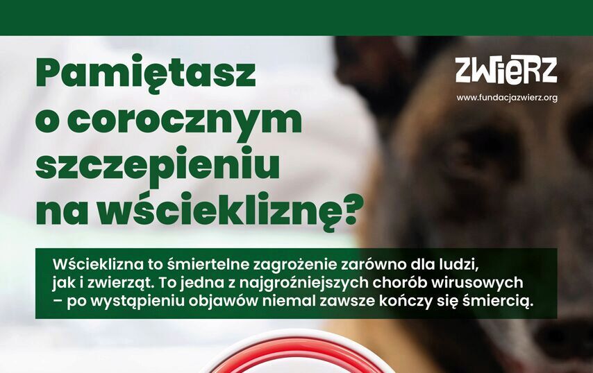 Wścieklizna - śmiertelne zagrożenie dla ludzi i zwierząt.