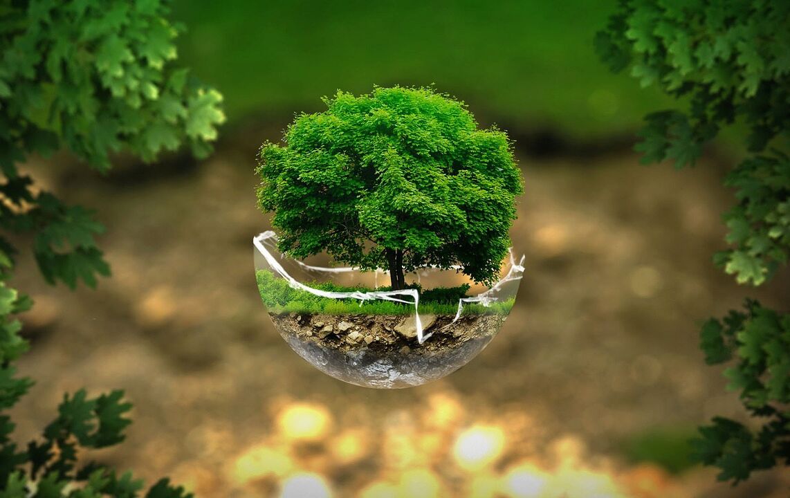 Zaproszenie na bezpłatne webinarium dla przedsiębiorców